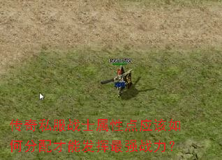 传奇私服战士属性点应该如何分配才能发挥最强战力? 传奇私服战士属性点应该如何分配才能发挥最强战力?