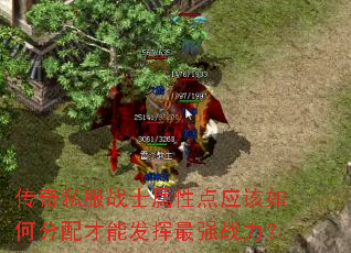 传奇私服战士属性点应该如何分配才能发挥最强战力?