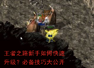 ����֮·������ο����������ر����ɴ󹫿�