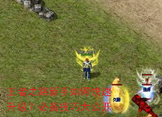 王者之路新手如何快速升级?必备技巧大公开